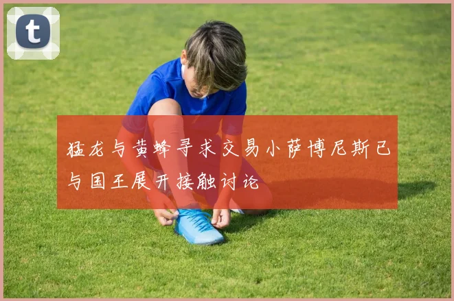猛龙与黄蜂寻求交易小萨博尼斯已与国王展开接触讨论