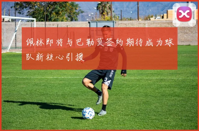 佩林即将与巴勒莫签约期待成为球队新核心引援