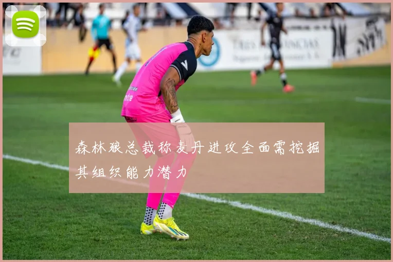 森林狼总裁称麦丹进攻全面需挖掘其组织能力潜力